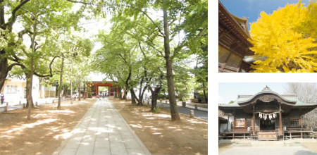 葛飾八幡宮
