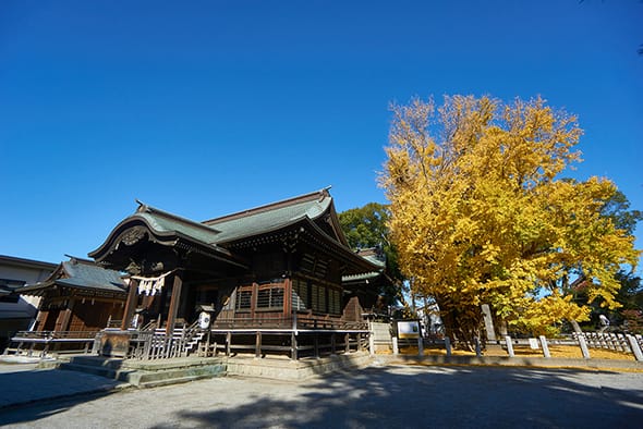 葛飾八幡宮