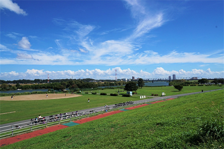 江戸川河川敷