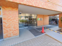 江戸川区本一色１丁目