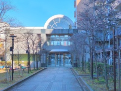 江戸川区平井４丁目