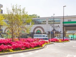 船橋市飯山満町２丁目