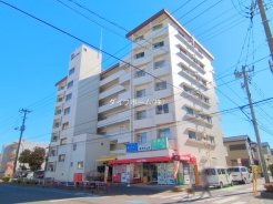 市川市新浜１丁目