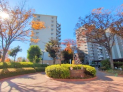 松戸市新松戸３丁目