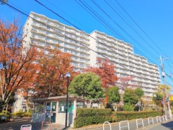 松戸市新松戸３丁目