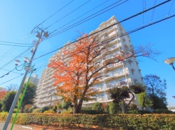 松戸市新松戸３丁目