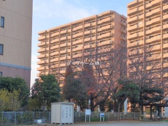 船橋市習志野５丁目