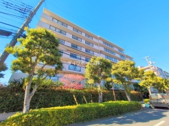 江戸川区本一色１丁目