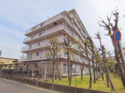 市川市相之川１丁目