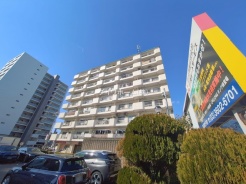 葛飾区白鳥４丁目