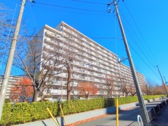 松戸市新松戸７丁目