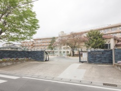 松戸市松飛台