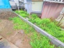 現地土地写真