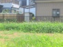 現地土地写真