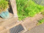 現地土地写真