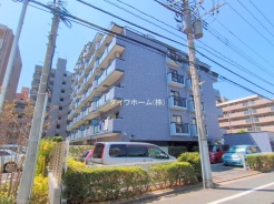 江戸川区松江5丁目