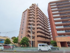 葛飾区青戸8丁目