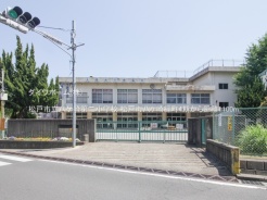 松戸市八ケ崎緑町