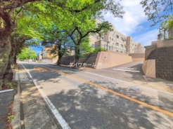 松戸市八ケ崎7丁目